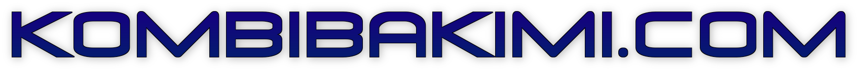 Gebze Petek Temizleme Logo